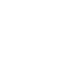 Active Image