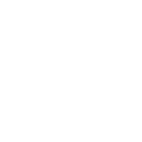 Active Image